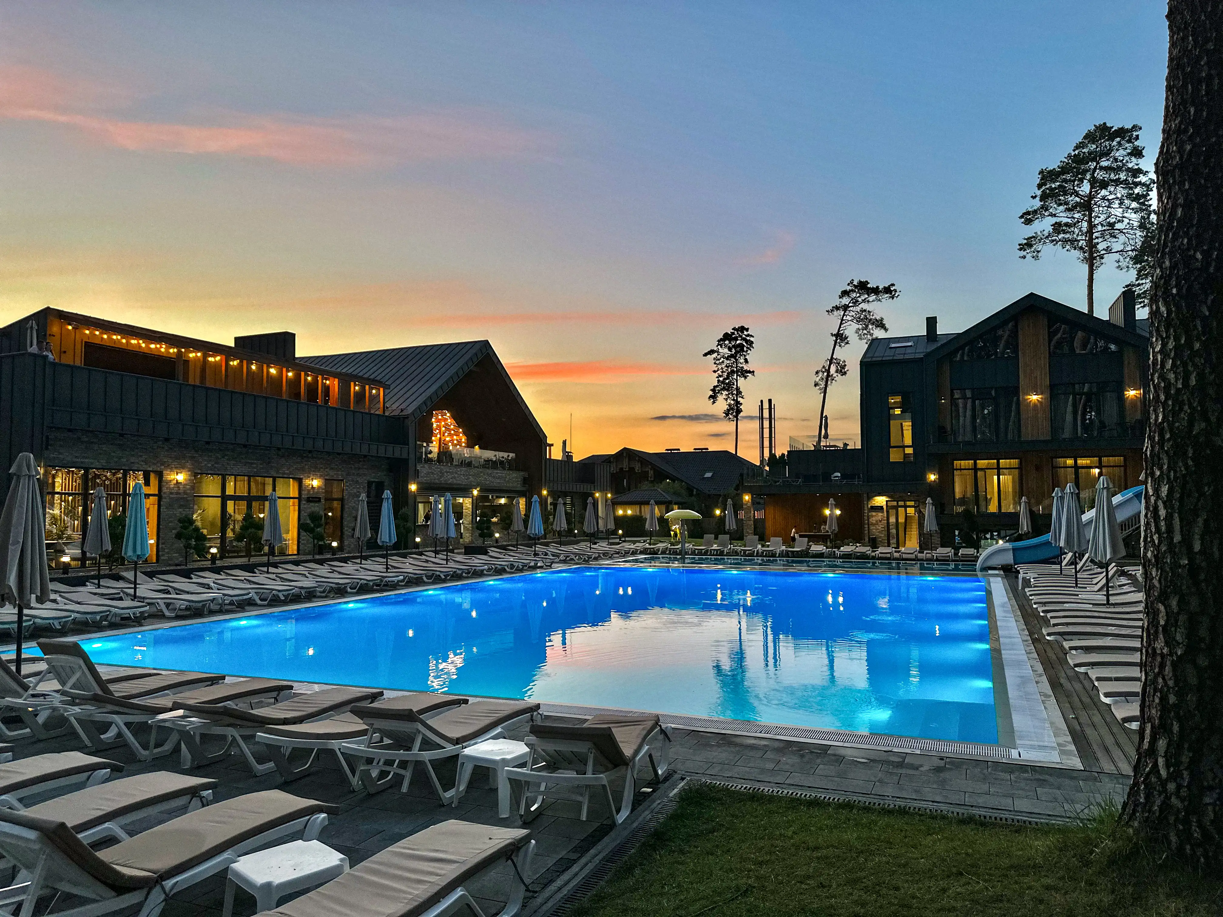 Golden Lion's grounds in the pine forest