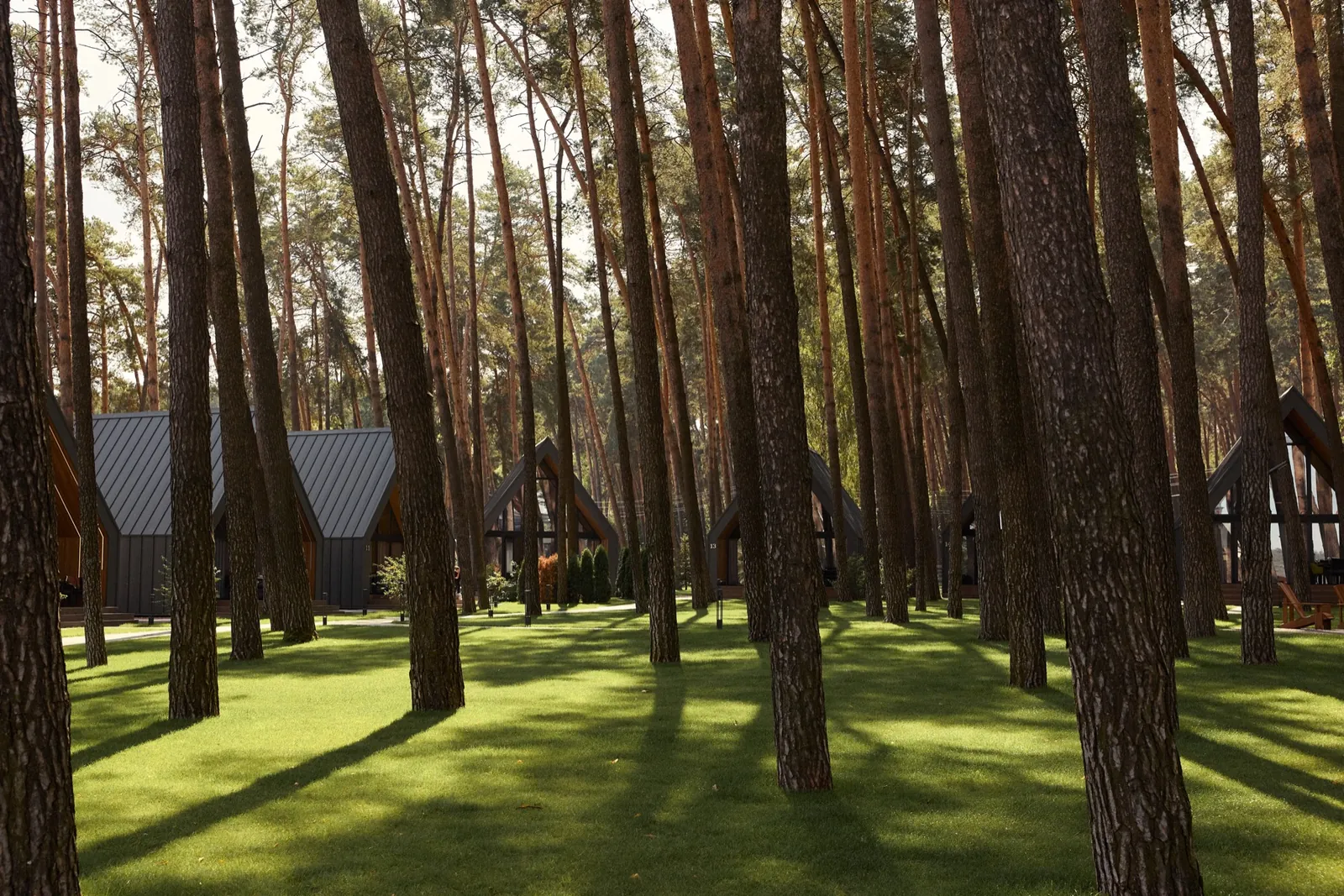 Відпочинок у літньому SPA Golden Lion